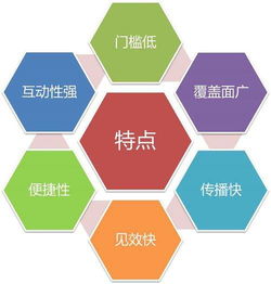 網(wǎng)絡(luò)營(yíng)銷(xiāo)的顯著特點(diǎn)及其與互聯(lián)網(wǎng)信息服務(wù)的融合